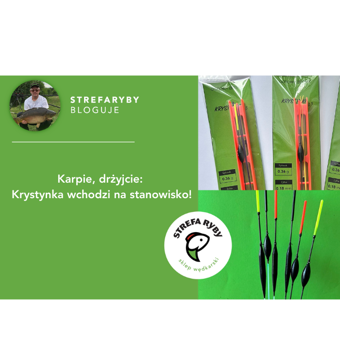 Zestaw karpiowy do tyczki